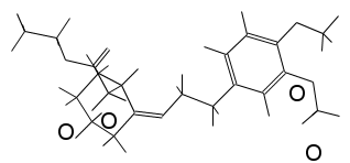 mols7 - atoms as text